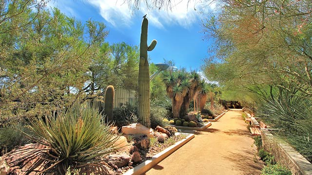 Jardín Botánico